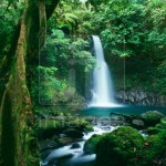 waterfall-tropical-rainforest-Isarog-Bicol